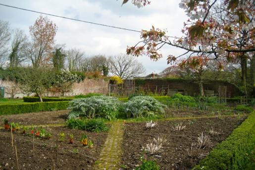 Tetcott Manor walled kitchen garden