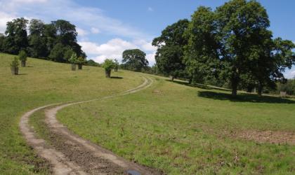 Dunsland Parkland