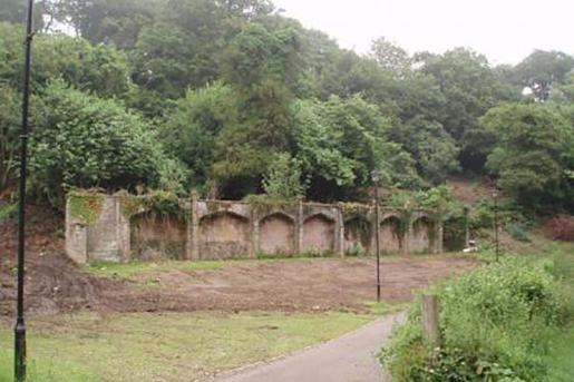Combe Royal citrus wall