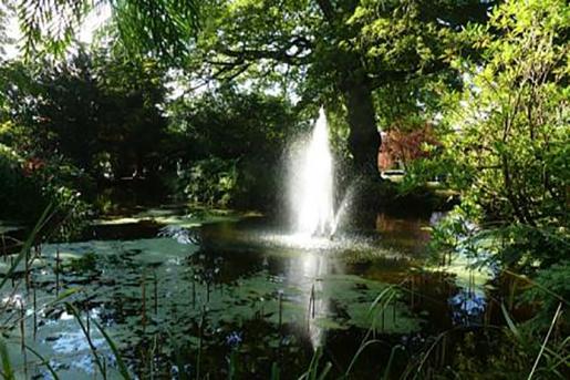 Exeter University