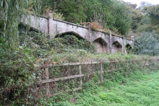 Combe Royal citrus wall October 2007