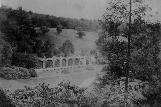Combe Royal citrus wall in its landscape setting