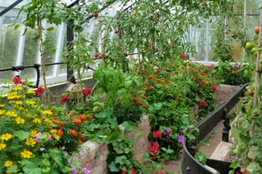 glasshouse