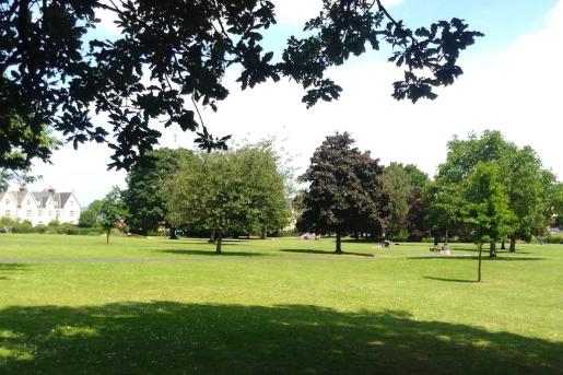 Courtney Park