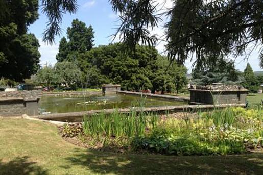 Courtney Park