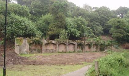 Combe Royal citrus wall