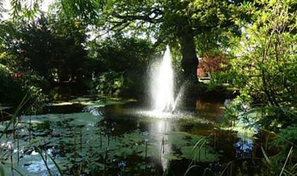 Exeter University