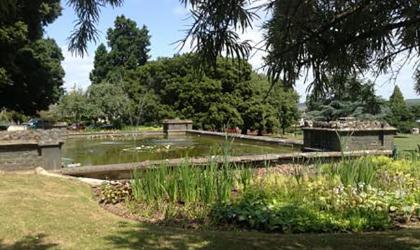Courtney Park